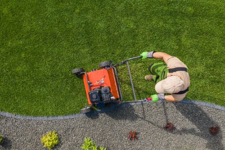 Lawn Aeration